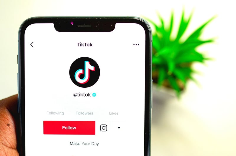 TikTok Challenges